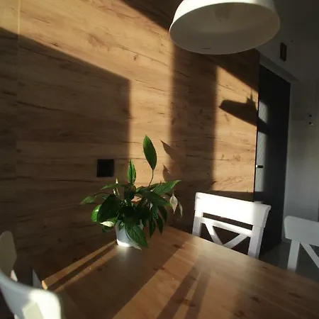 Homestay Pokoje Ul Przybyszewskiego 3 *